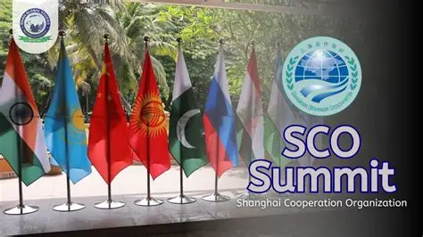 SCO